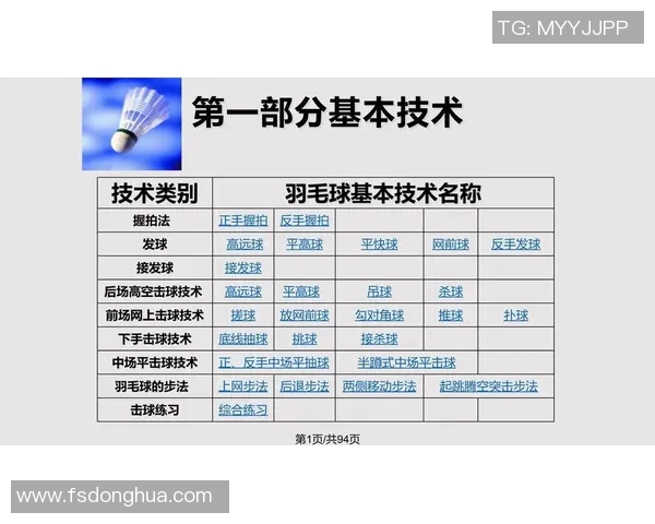 羽毛球深度解析：探寻杭州羽毛球队反击战术的成功秘诀